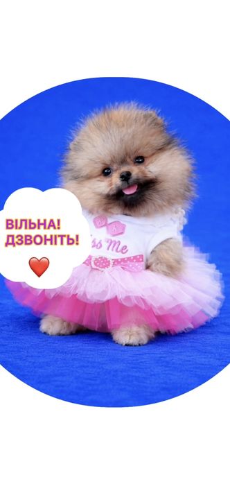 Girl Beauty !Найлагідніше маля !Красуня міні