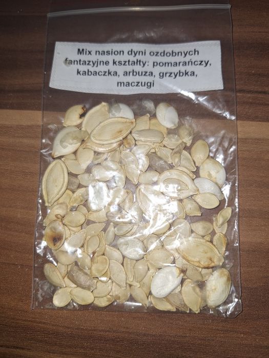 Zestaw nasion dyni