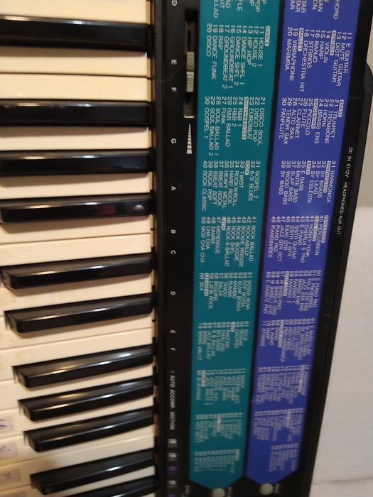 Órgão instrumental/ Teclado