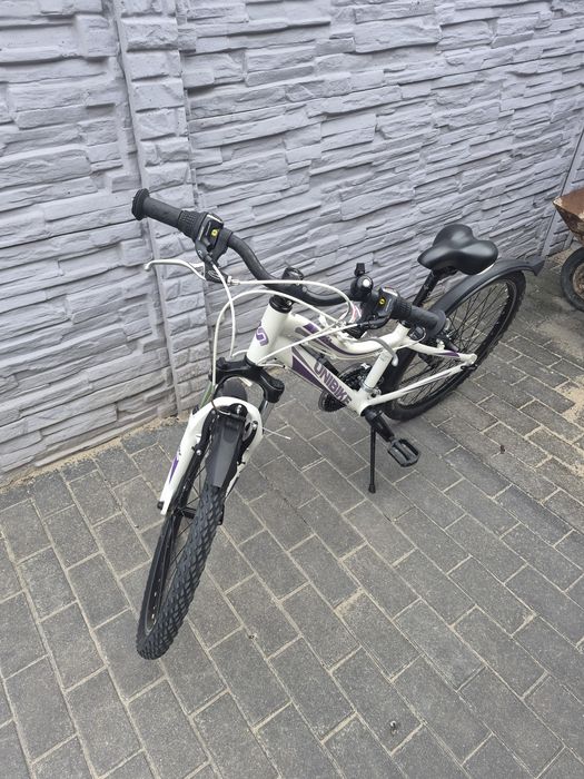 Unibike roxi 24 rama 11