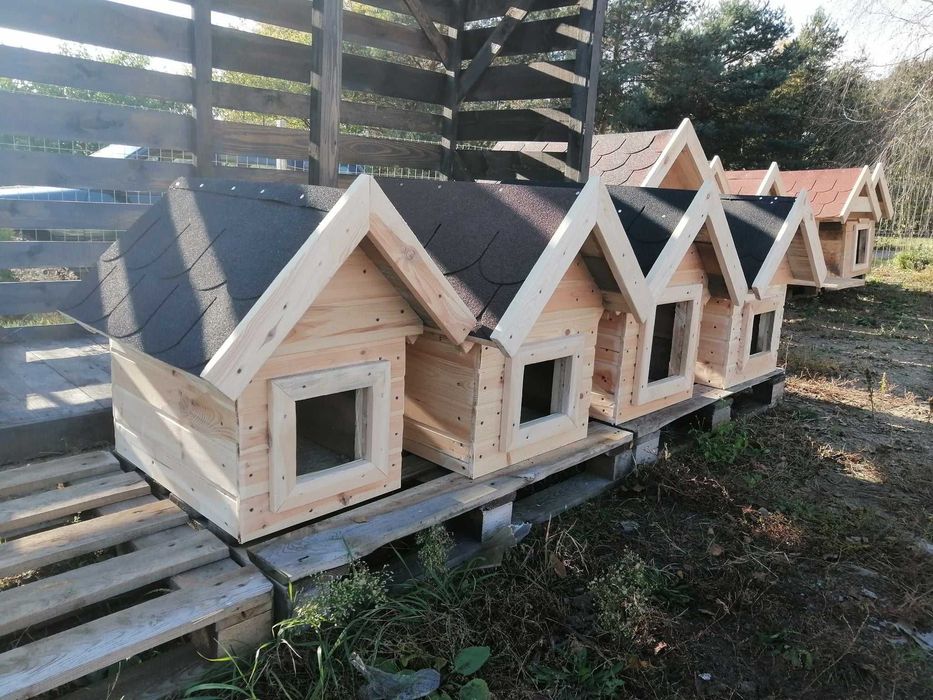 Sprzedam budy dla piesków okazyjne i solidne