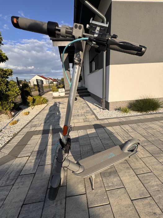 Hulajnoga Motus Scooty 10