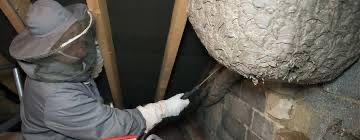 Знищення тарганів блох клопів мишей щурів комарів. Видалення плісняви.