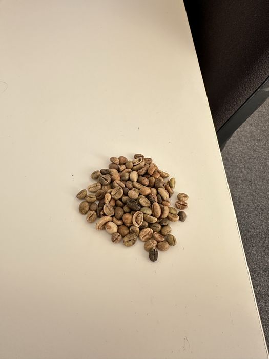 Кава в зернах Робуста Вʼєтнамська | ОПТ | від 15 кг