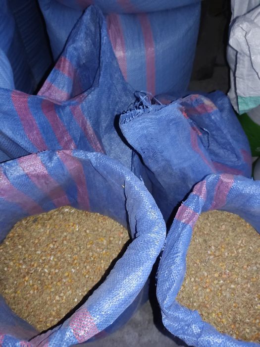 Mieszanka zbożowa, pasza dla kur, ptaków, drobiu, gołębi  po 50 kg