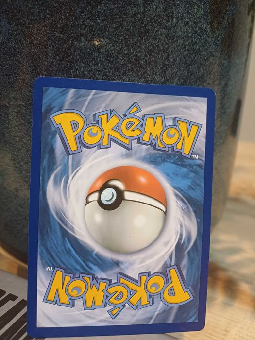 Carta Pokémon Absol #113