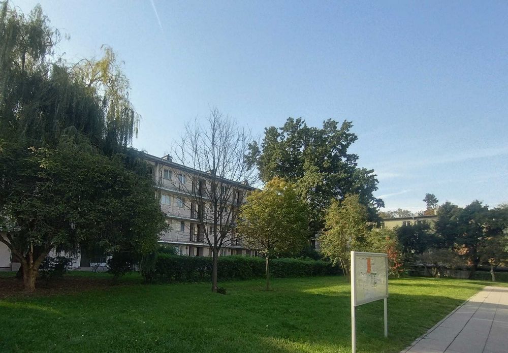 Zdjęcie 8