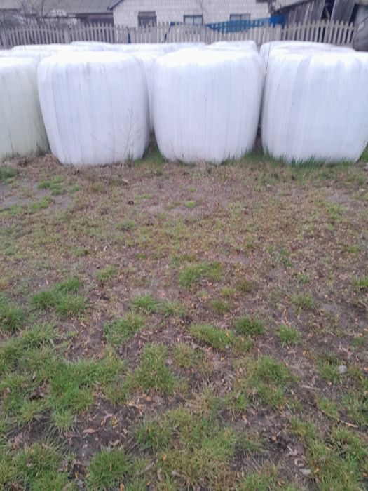 Siano i sianokiszonka