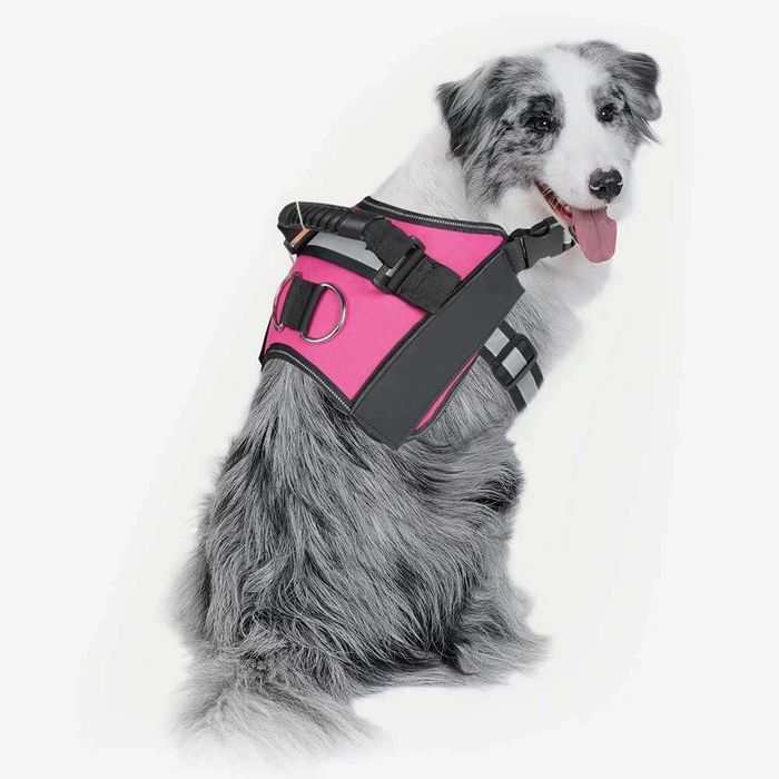 Шлейка водилка для поисковых собак с ручкой для удержания роз. S, M, L