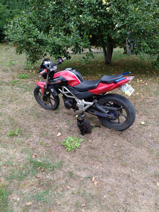 Skymoto prime 200 обмен