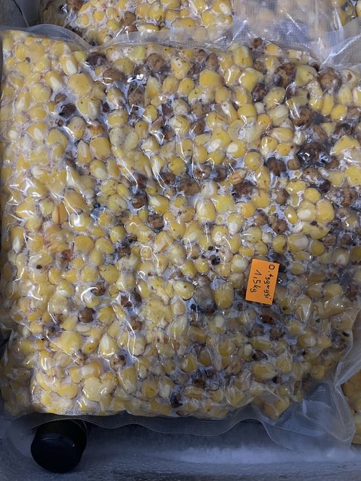 Fermentowana kukurydza na ryby