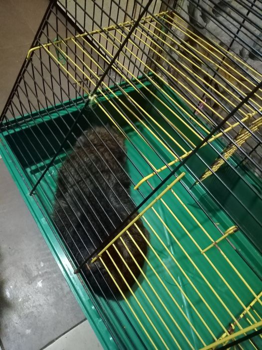 Домик для вашей кошки с когтеточкой