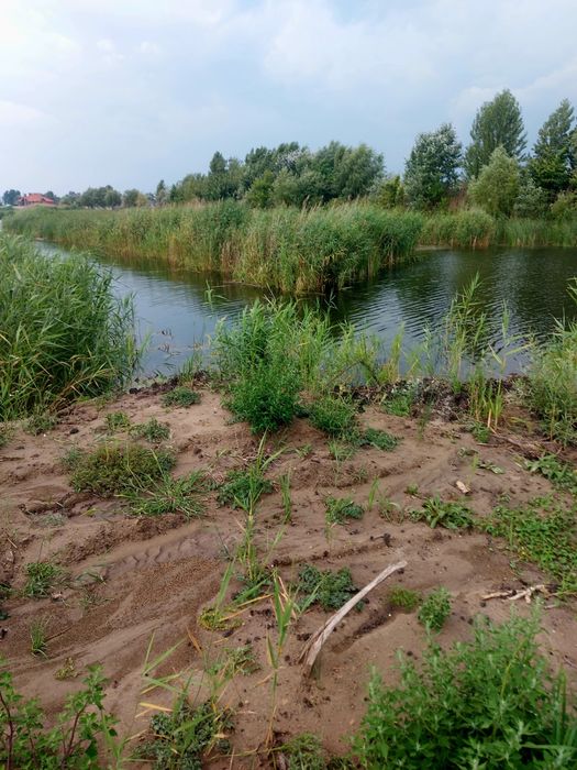 Живописна ділянка в с. Коробівка