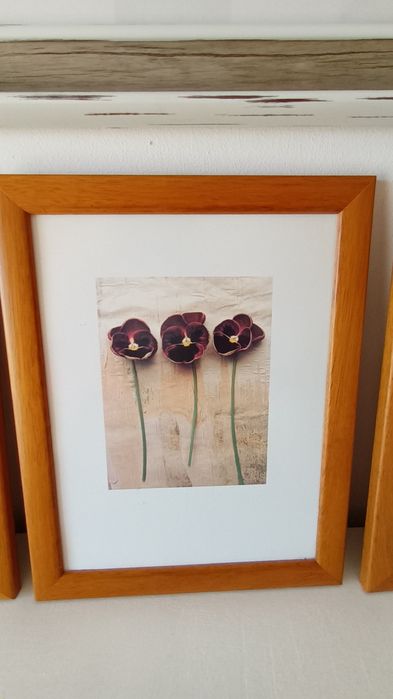 Conjunto de 4 gravuras