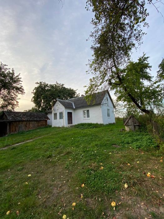 Будинок з земельною ділянкою