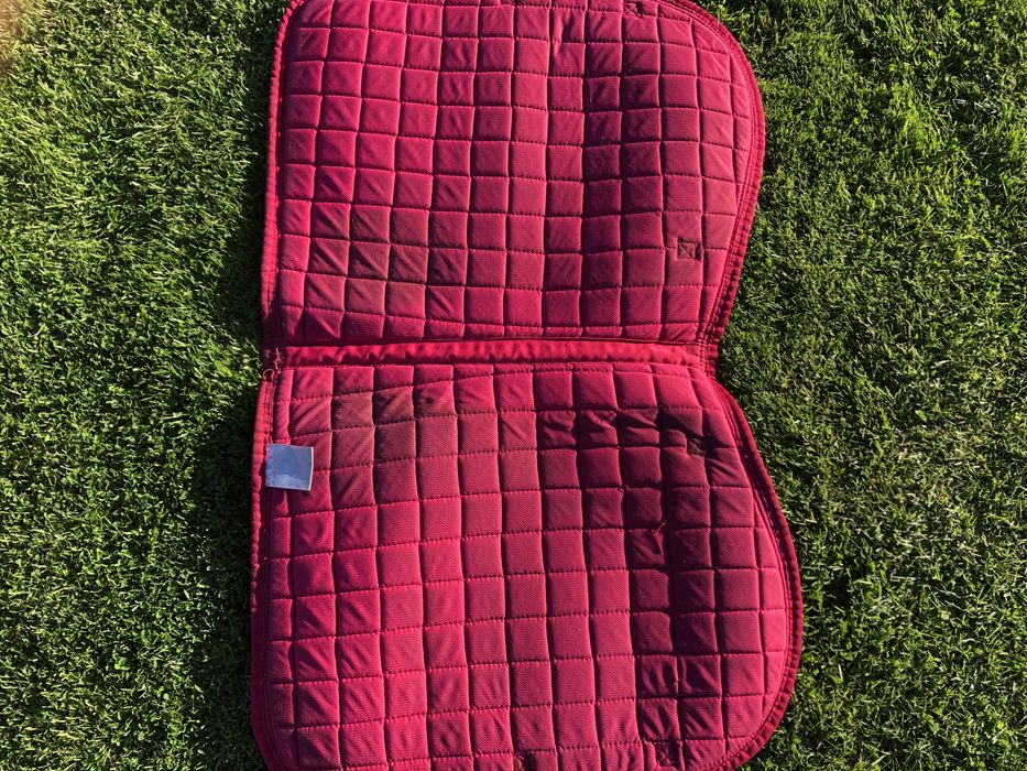 Czaprak horze wszechstronny