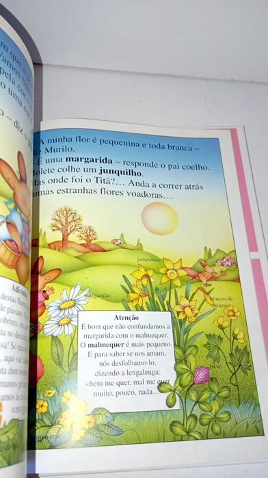 Os Coelhinhos... descobrem o Campo430316878069780483