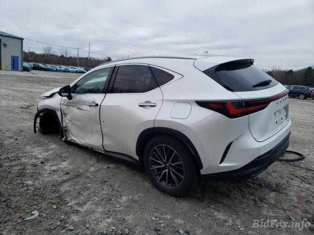 Lexus Nx 350 2022 кузов