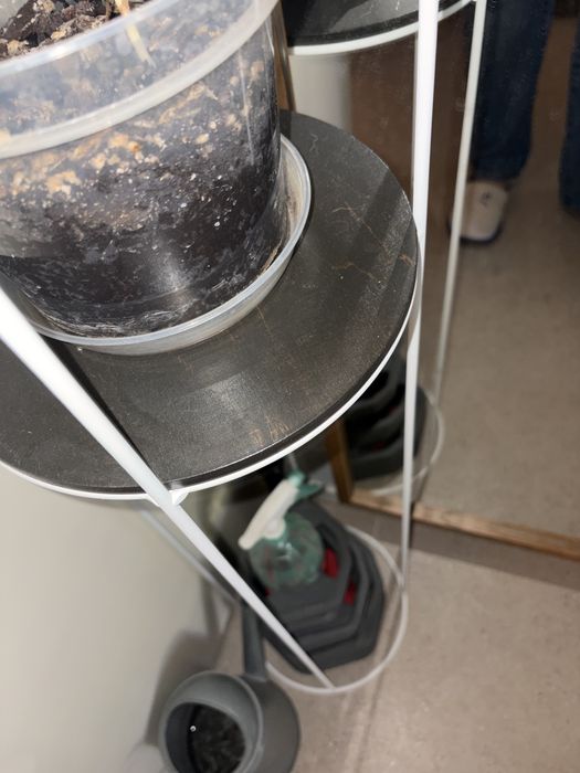 Kwietnik SBN design PIPE