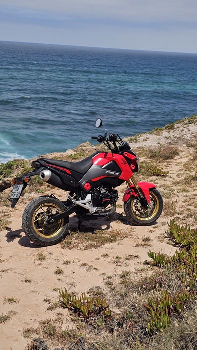 Honda Msx 125cc de 2016