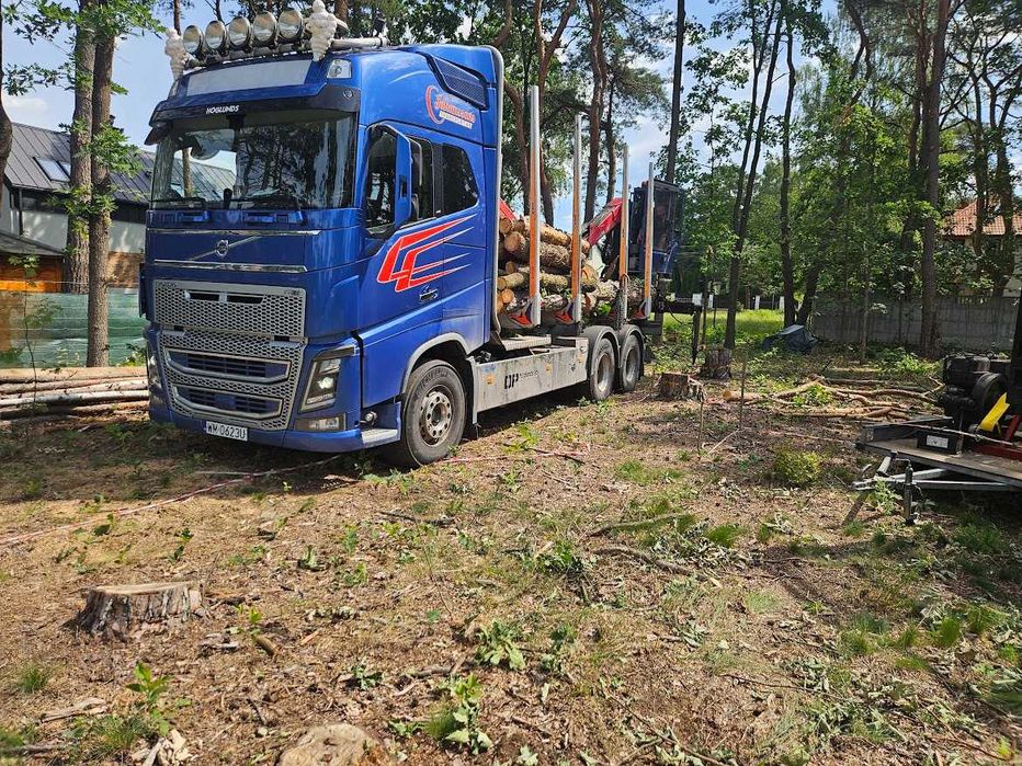 usługi transportowe HDS drewna w wałku , sprzedaż grab dąb brzoza olcha