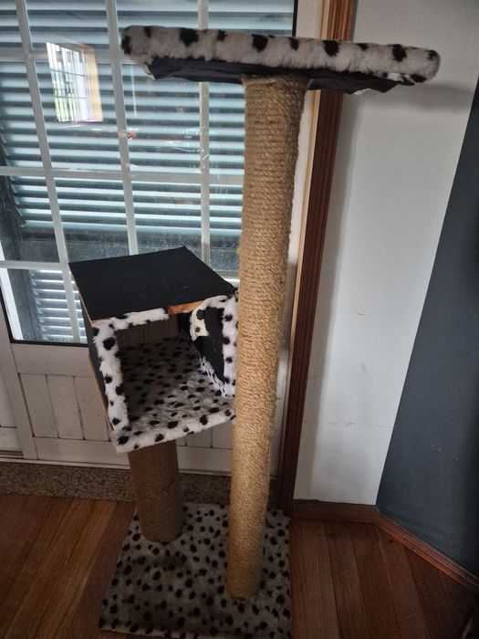 Aranhador para gato