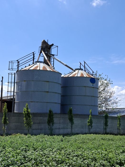 Zbiornik BIN 2X 75ton ( przenośnik kubełkwy do zboża, dmuchawa, kosz)