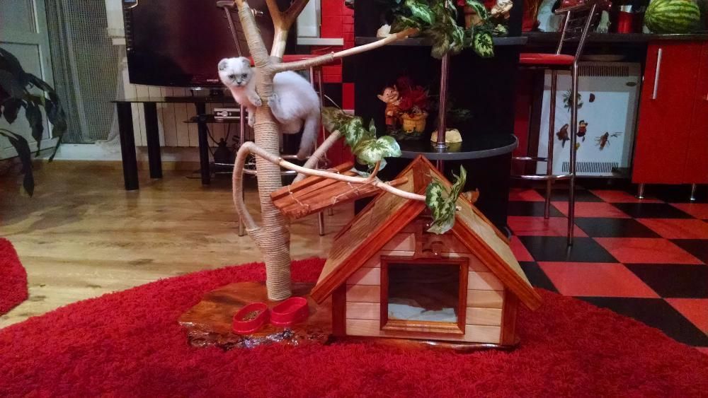 кошкин дом. домик для кота кошки