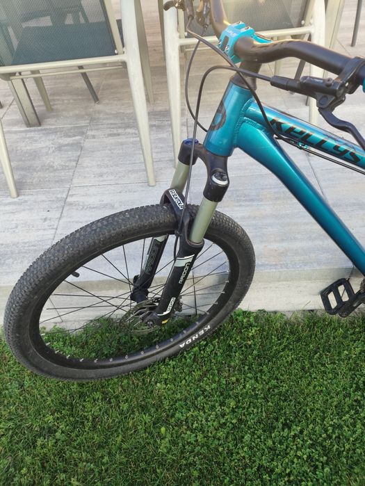 Kellys Whip 50(dirt)