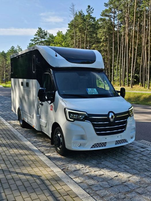 Renault Master  Koniowóz Renualt Master