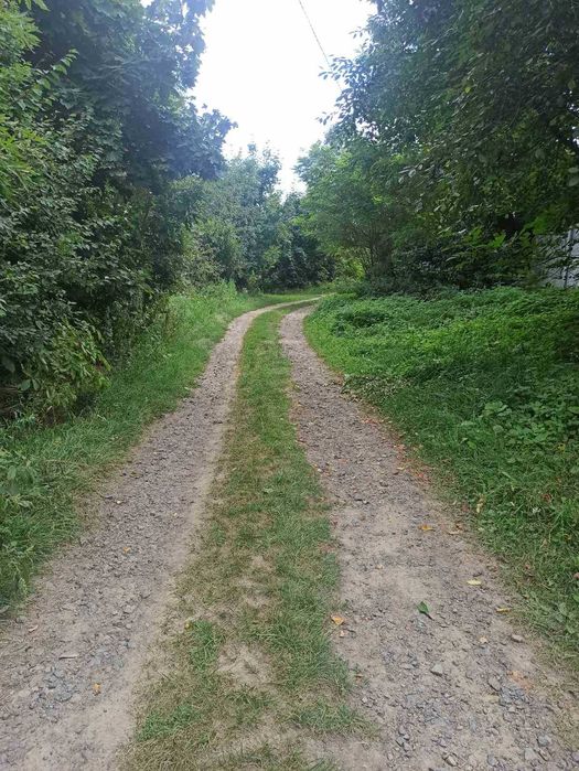 Продам будинок в с.Городище, 60с землі 5827