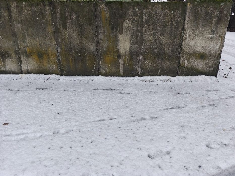 Elki betonowe 110 szt