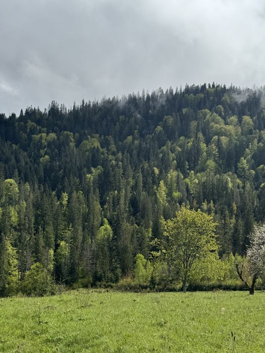 Ділянка в Карпатах, Микуличин земля біля потічка, біля заповідника ,