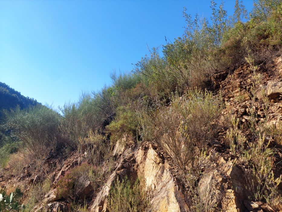 Rocagem de terrenos