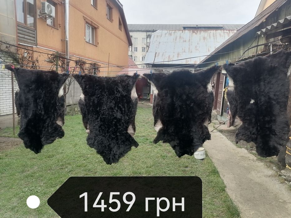 Маленькі шкірки під ноги чи в авто