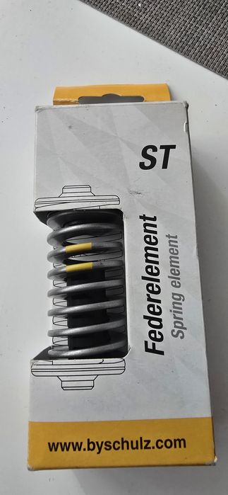 Byschultz Spring element