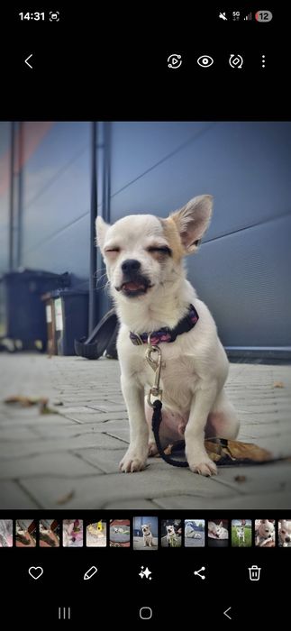 ZAGINIONY! pomóż odnaleźć