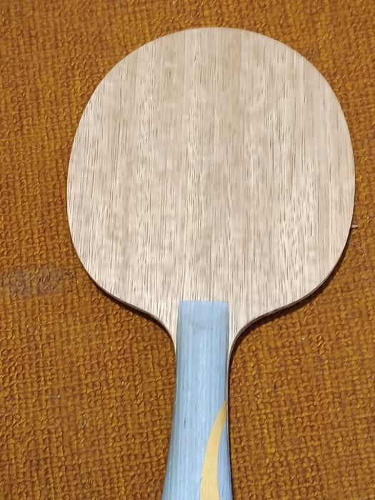 Personal blade Fan Zhendong W968  treaning + rubber