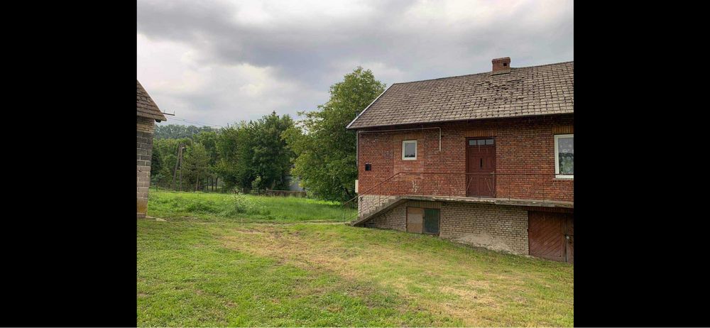 Dom z widokiem na las