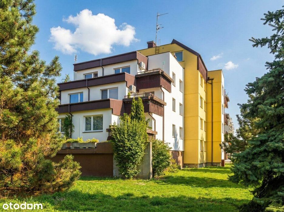 Świetny, Niespotykany Układ z Tarasem