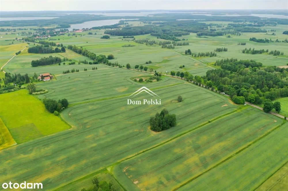 Działka inwestycyjna 2,10 ha na Mazurach - Harsz - Więcej