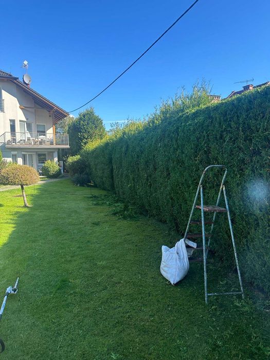 Usługi Ogrodnicze - W trosce o twój ogród