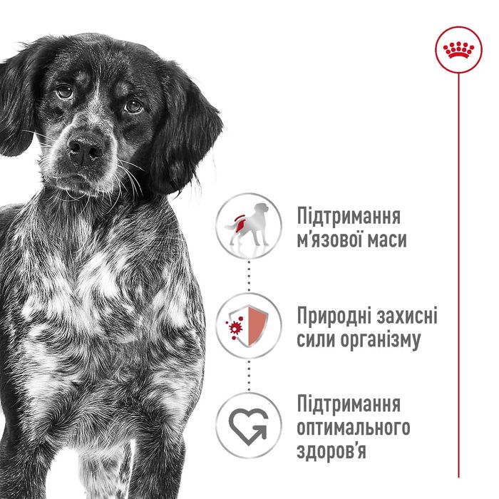 Royal Canin medium adult, Роял канін медіум едалт 15 кг