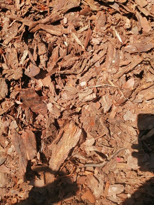 Kora sosnowa dekoracyjna 60l ziemia ogrodowa torf podłoża
