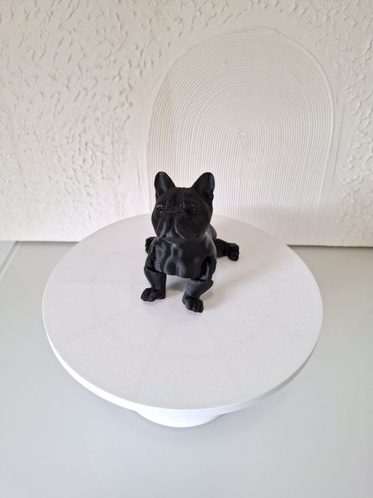 Cão de raça decorativo