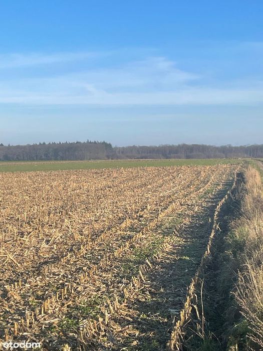 Atrakcyjna działka budowlana