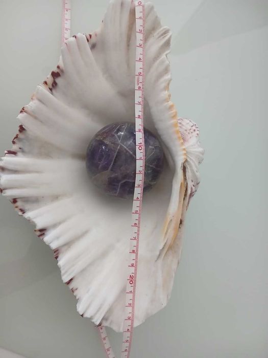 Concha Natural com Bola de Ametista Polida