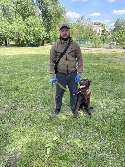 Дрессировка собак от 300 гр Заводской район,выезд цена договорная