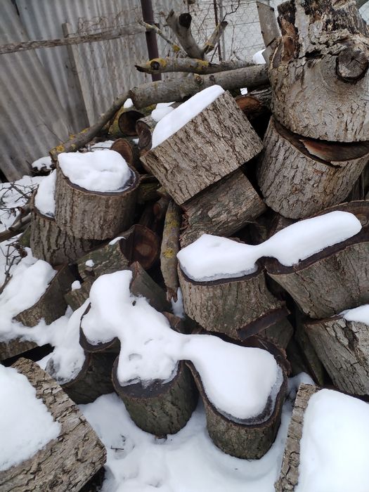 Продам дерево, горіх