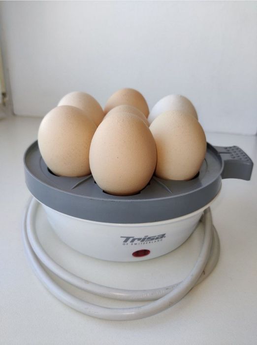 Яйцеварка электрическая